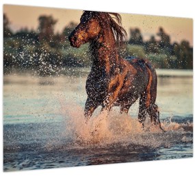 Kép - Futó ló (70x50 cm)