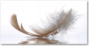Fotó üvegkép Toll a vízen 140x70