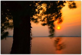 Poszterek 120x80 Fa Napnyugta