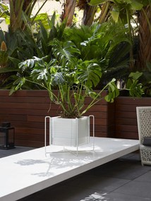 Szögletes önöntöző vetőgép ZEN, alacsony, többféle változatban - Hobby Flower szín: corten