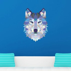 Wolf falmatrica - Ambiance