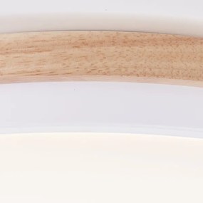 Brilliant - LED Dimmelhető mennyezeti lámpa BAARLO LED/24W/230V átm. 35 cm fehér