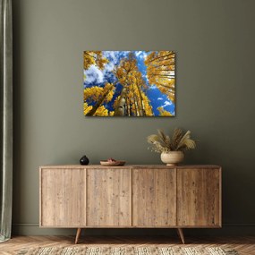 Kép - Aspen (70x50 cm)