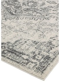 Szürke-krémszínű szőnyeg 160x230 cm Nova – Asiatic Carpets