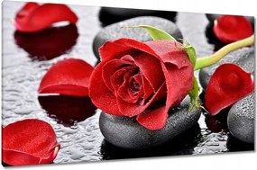 Vászonkép 120x70 Vörös rózsa Neki
