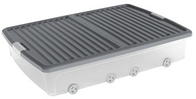 Fedeles műanyag ágy alatti tárolódoboz 79x58x16,5 cm W box underbed XL – KIS