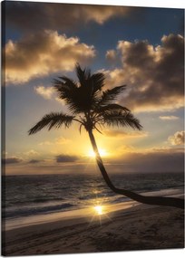 Vászonkép Natura Palma a nyugat között 50x70