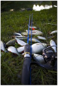 Poszterek 60x90 Kis halak a fűben