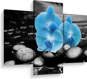 Kép - Kék orchidea (90x60 cm)