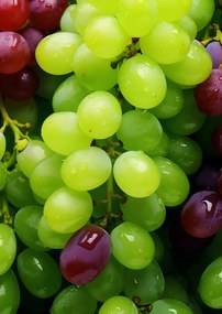 Poszter 21x29,7cm Szőlő kaleidoszkóp