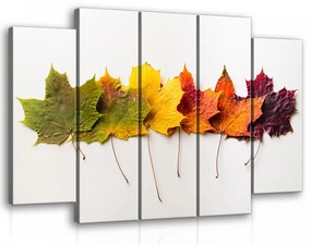 Vászonkép, 5 darabos őszi levelek 150x100 cm méretben