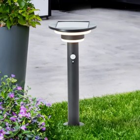 Brilliant - LED Napelemes lámpa érzékelővel GARVINA LED/3W/3,7V 45 cm IP44 fekete