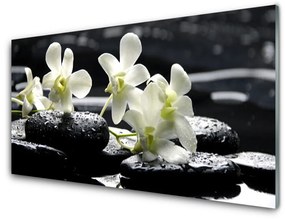 Üvegkép falra Stones orchidea növény 120x60cm 2 fogas