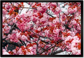 Poszterek keretben 60x40 Finom virágok Virágok