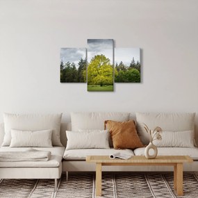 Egy zöld fa képe a mező közepén (90x60 cm)
