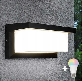 LED RGBW dimmelhető kültéri fali lámpatest NEELY 1xE27/12W/230V IP54 fekete