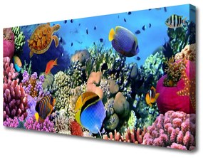 Vászonfotó Barrier Reef Nature 125x50 cm