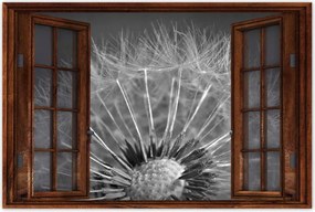 Poszterek 60x40 Pitypang Virág Virágok