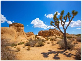 Poszterek 135x100 Sivatagi táj