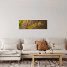A növény képe (órával) (90x30 cm)