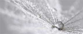Kép - Egy csepp víz (120x50 cm)
