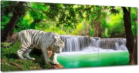 Vászonkép 60x30 Tigris a vízesésnél