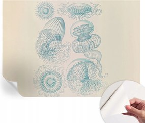 Öntapadós Dekoratív Fotótapéta Hálószobába Tengeri medúzák 312x219 cm