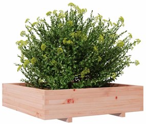 vidaXL tömör duglászfenyő kerti virágláda 100 x 100 x 26,5 cm