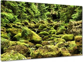 Képek 120x80 Tátra Lengyel hegyek Kilátás