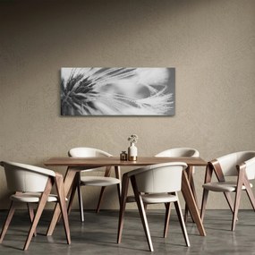 Kép - Pitypang (120x50 cm)