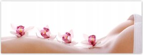 Fotótapéták 250x93 Pihenés a SPA-ban Orchideák