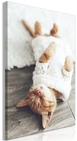 Kép - Lazy Cat (1 Part) Vertical
