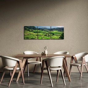 Rizsmező képe (órával) (90x30 cm)
