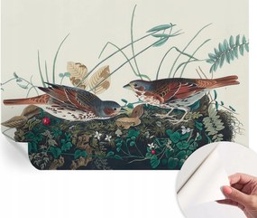 Öntapadós Dekoratív Fotótapéta Hálószobába A természet varázsa 152x104 cm