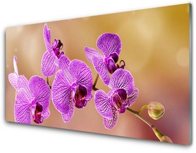 Üvegkép Rügyek orchidea virágok Természet 125x50 cm