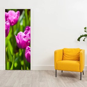 Fotótapéta ajtóra - Tulipánok a réten (95x205cm)