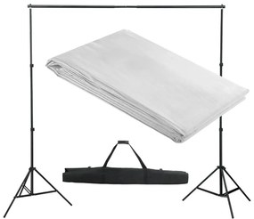 vidaXL fehér háttértartó állványrendszer 300 x 300 cm