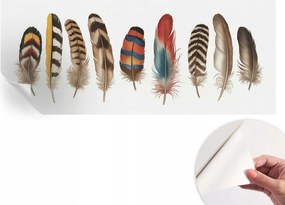 Öntapadós tapéta Divatos 3D fali ragasztóval Színes tollak 250x104 cm