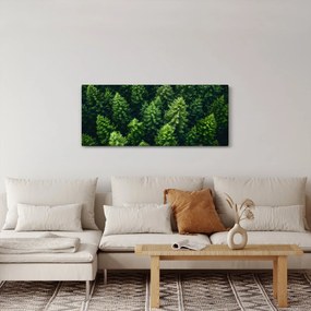 Kép - Forest (120x50 cm)