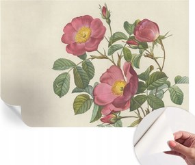 Fotótapéta Fali tapéta Hálószobába és Nappaliba Rózsa motívum 104x70 cm