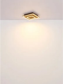 GLOBO 67345D FAY Modern LED Mennyezeti Lámpa IP20