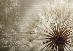 Fotótapéta pitypang virágok 416 x 254