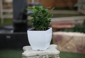 G21 Cube mini virágcserép zöld, 13 cm &quot;külső burkolat