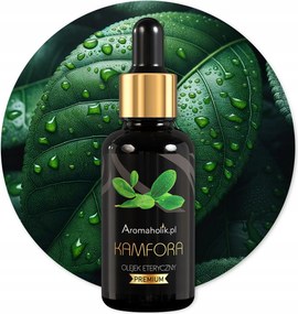 Kámforolaj Természetes Öböl Inhalációs Kandalló Diffúzor 30ml