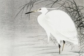 Flizelin tapéta Divatos ragasztóval Fali 3D Vízi táj 104x70 Ragasztó