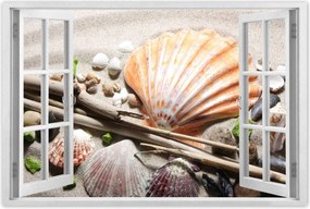 Poszterek 60x40 Kagylók a balti tengerpartról