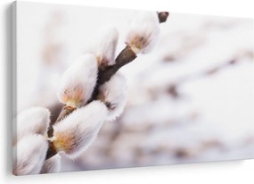 Kép - Macska (90x60 cm)