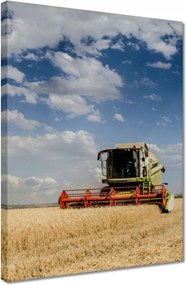 Vászonkép 30x40 Kombájn az aratás idején