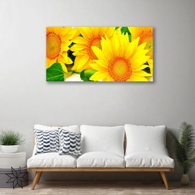 Vászonfotó Napraforgó virág természet 140x70 cm