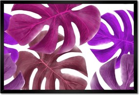 Poszter keretben 60x40 Monstera Levelek Lila